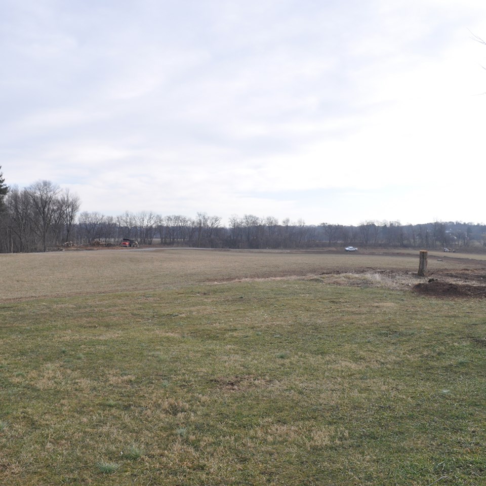 Green lawn with trees in the distance and on the right.