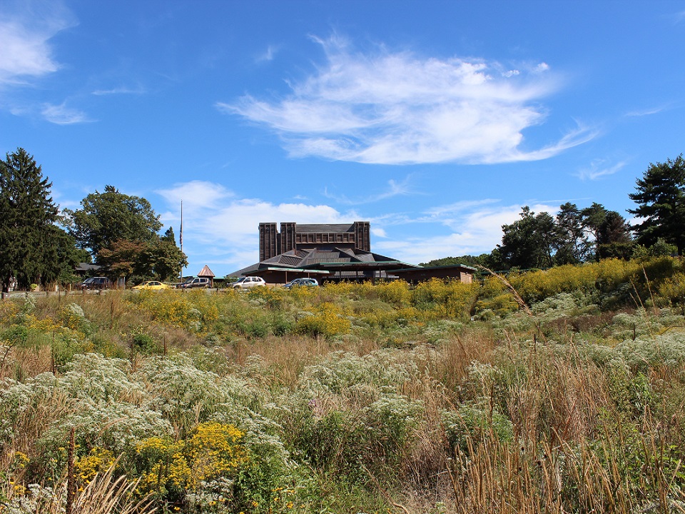 Meadow turf area with Filene Center in the background