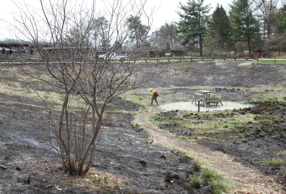 Firefighters look at a meadow with dry grass and a path