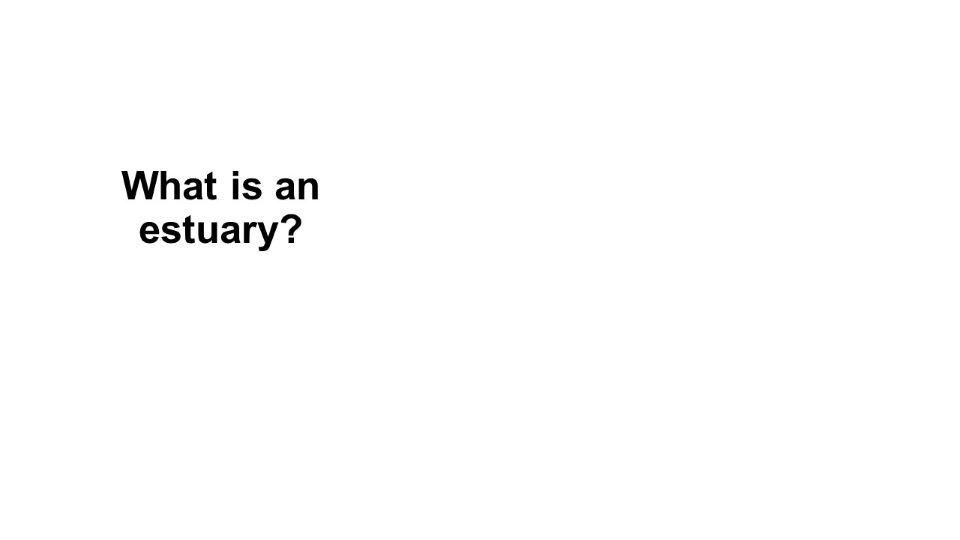 Question: What is an estuary