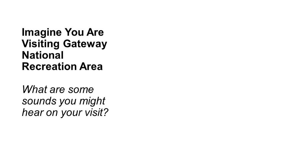 Imagine You Are Visiting Gateway National Recreation Area What are some sounds you might hear on your visit?