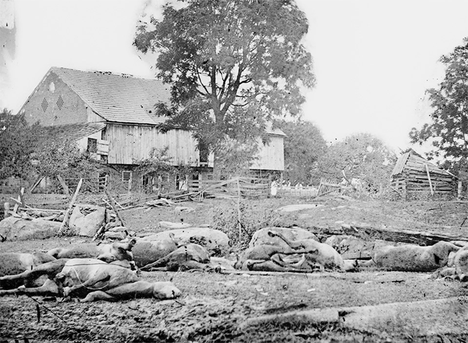 Dead horses scatter the ground in front of a large brick barn with single cannonball hole.