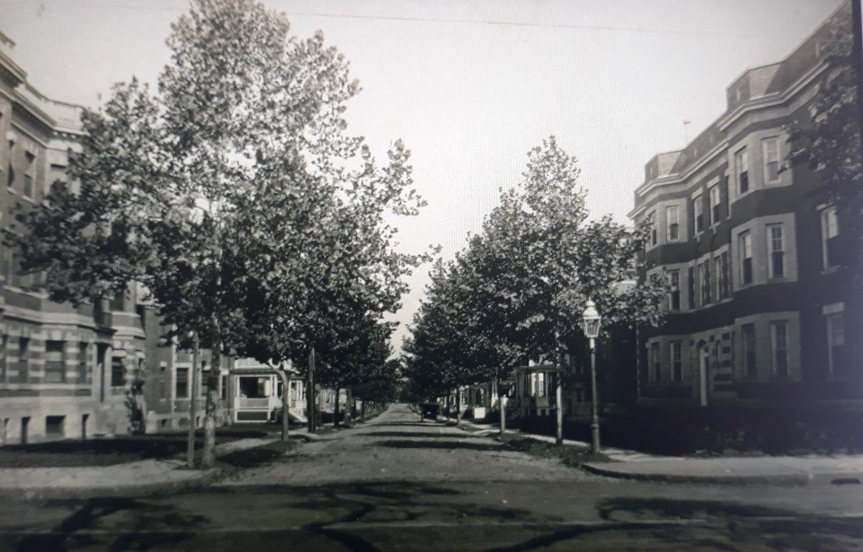A black and white photo of Beals Street circa 1910s.  There are two large building to either side of the road, which runs through the middle of the photo.  Trees line the street.