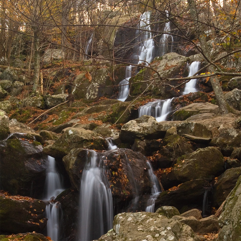 A black and white photograph of a tall waterfall in a forest.