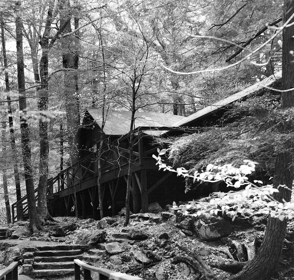 A black and white photograph of a cabin in the woods.