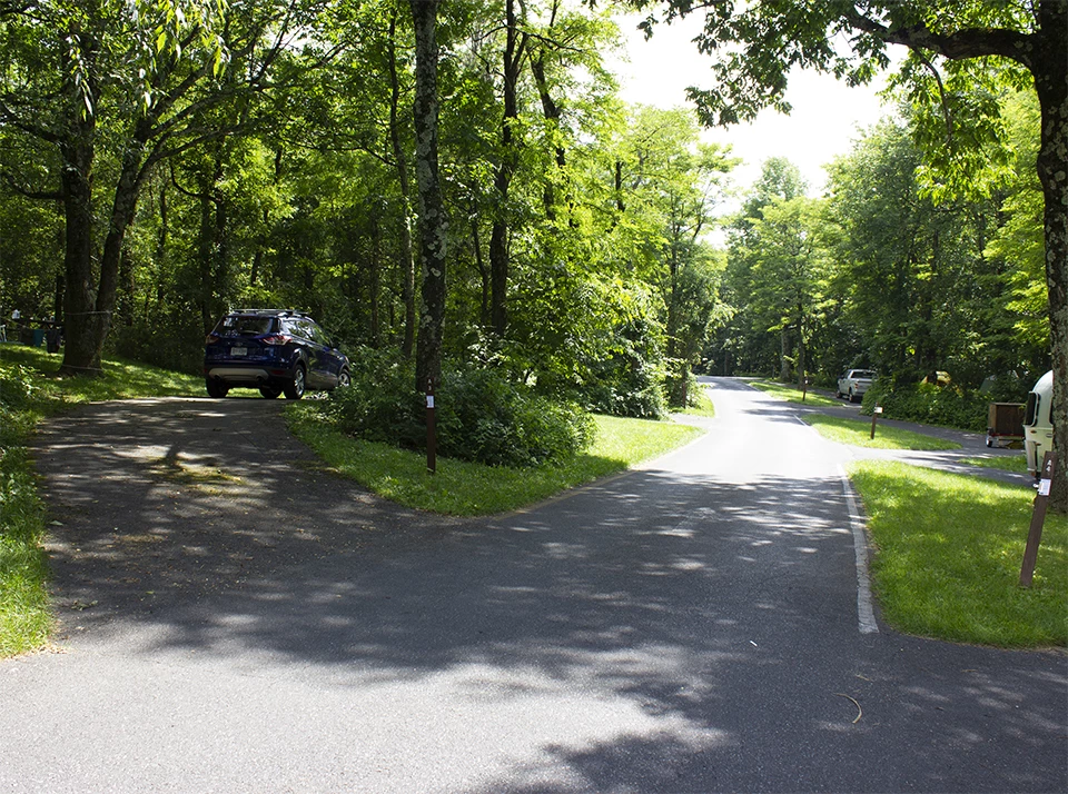 A black and white photograph of a road through a campground.