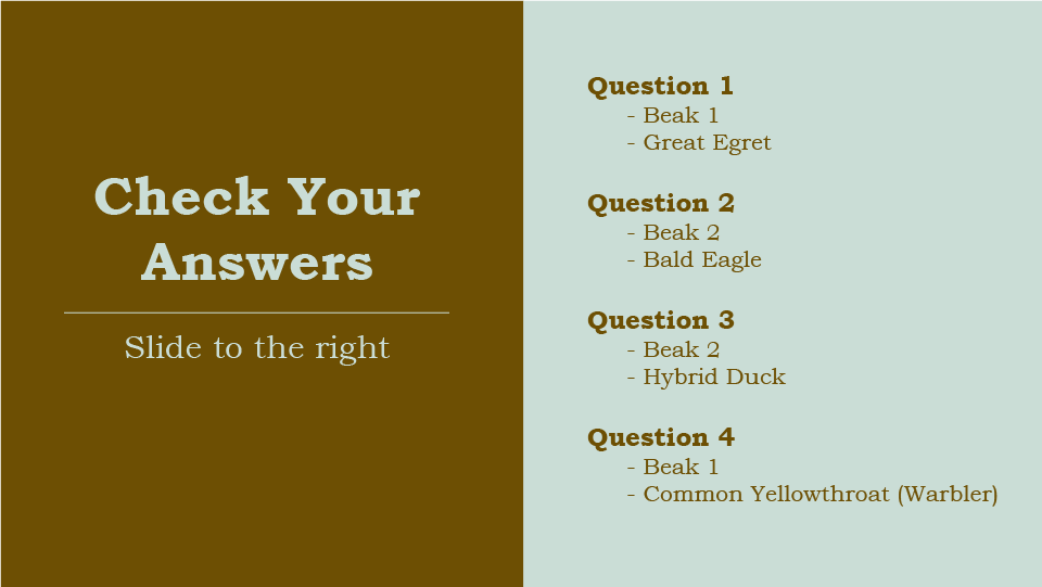 Check Your Answers, slide to the right, Question 1, Sometimes I use my beak to spear my prey, Question 2, I use my beak like a meat hook to tear flesh from my prey, Question 3, I use my beak to sift plant life from the water
