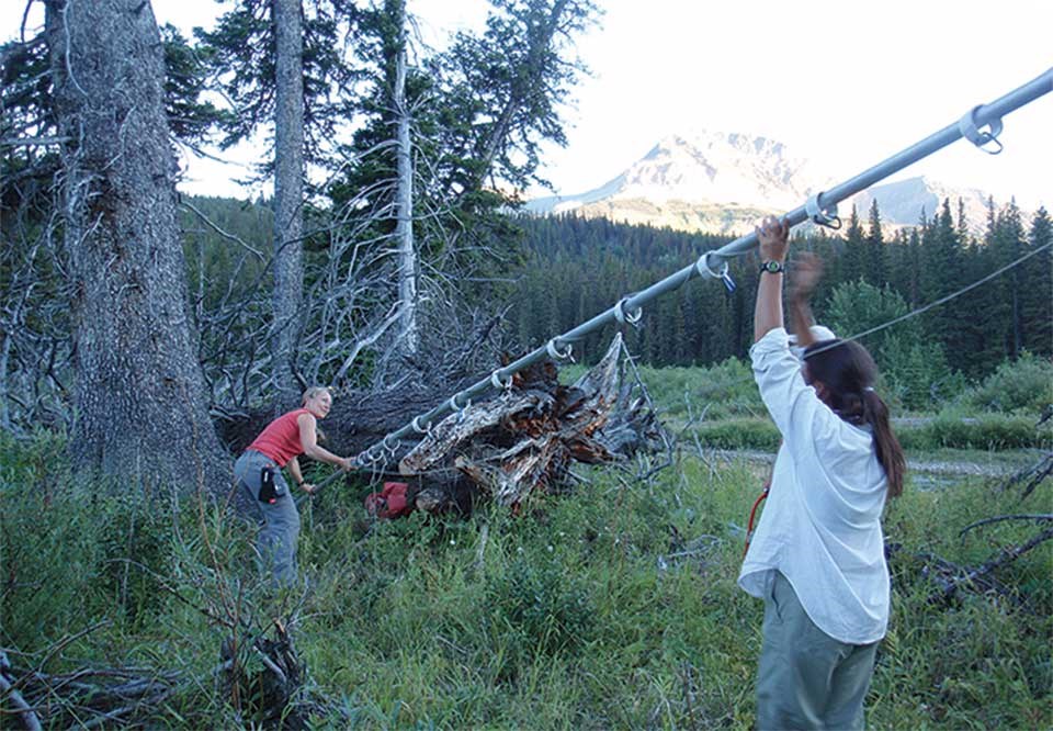 Biologists Cori Lausen and Lisa Bate set up a triple-high bat net.