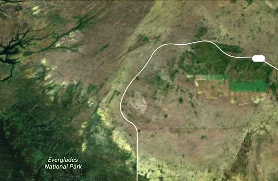 Map illustration: Sea level elevation projections for Everglades National Park.