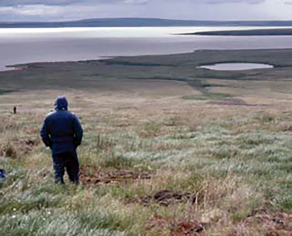 Burned tundra with very little green left.