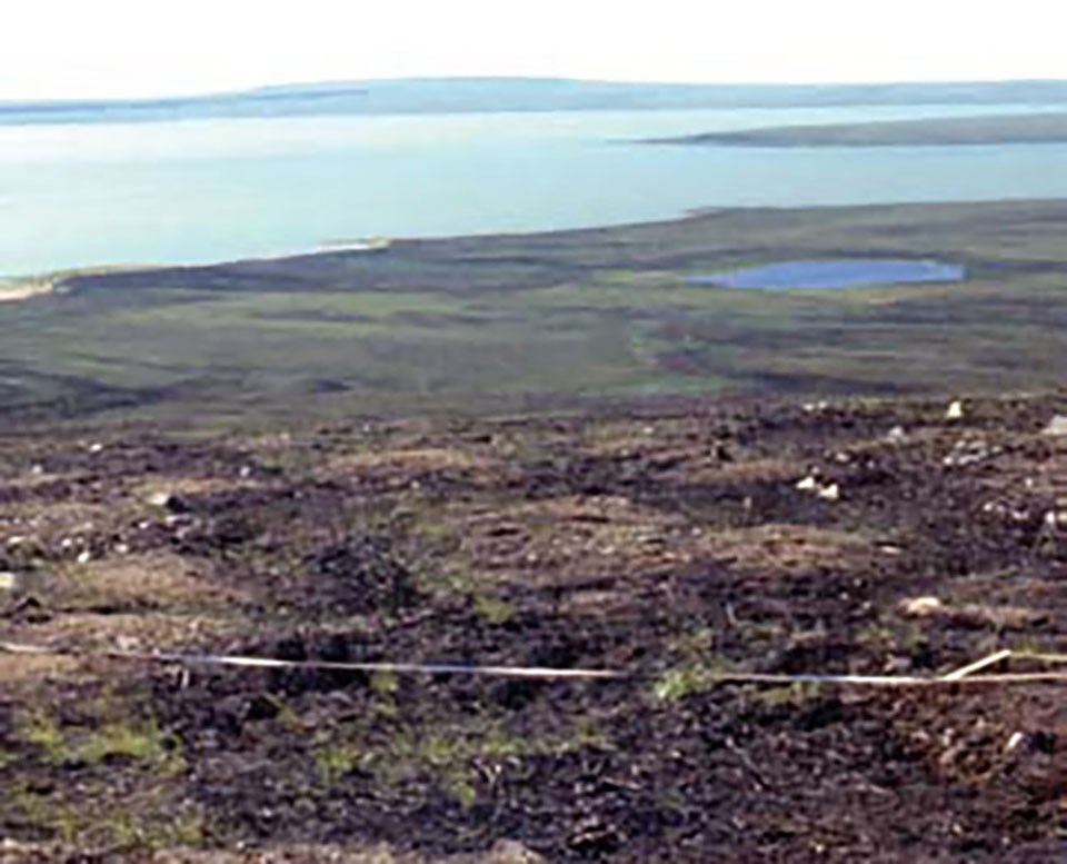 Burned tundra with very little green left.