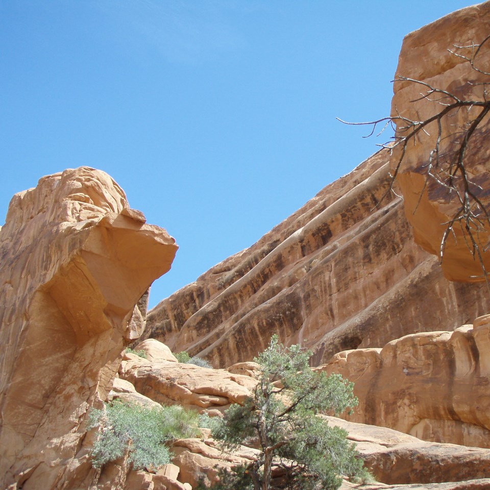 a broad, stone arch viewed from below