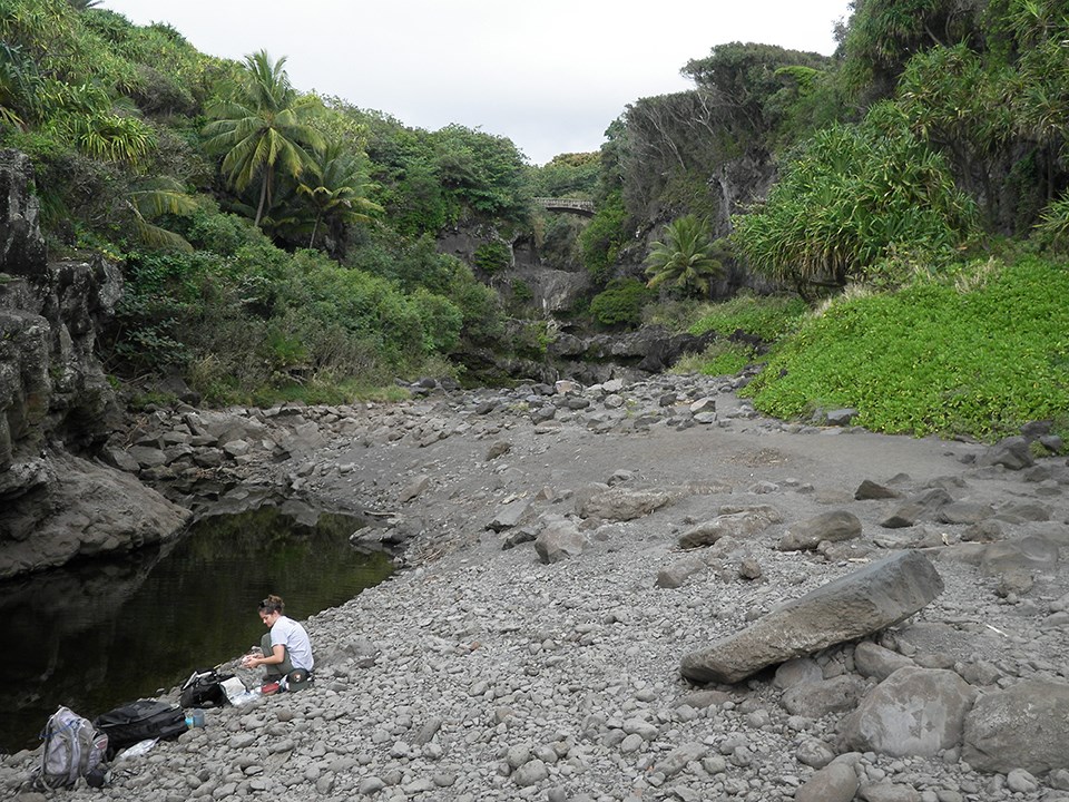 "Normal" flow conditions near the mouth of a stream at Haleakalā National Park.