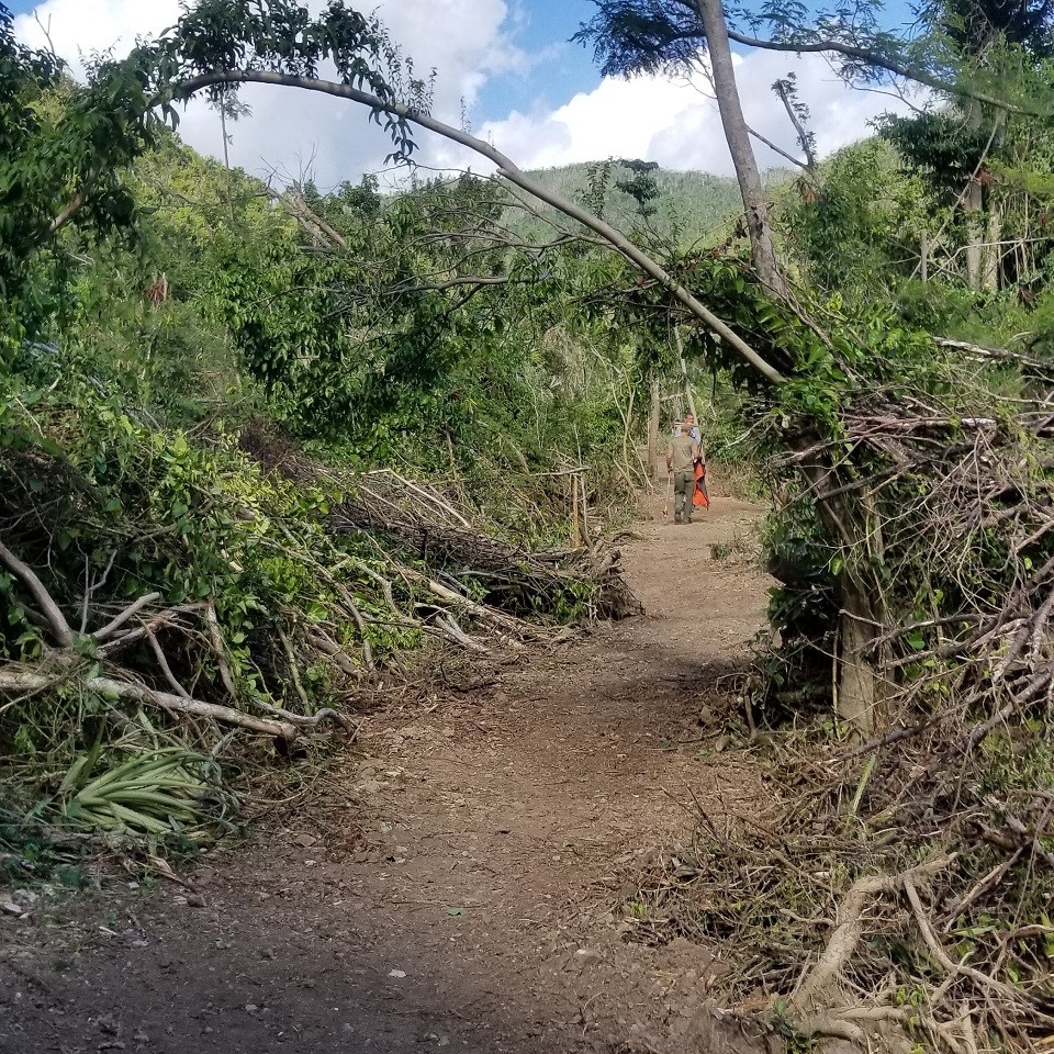Clearing the Reef Bay Trail