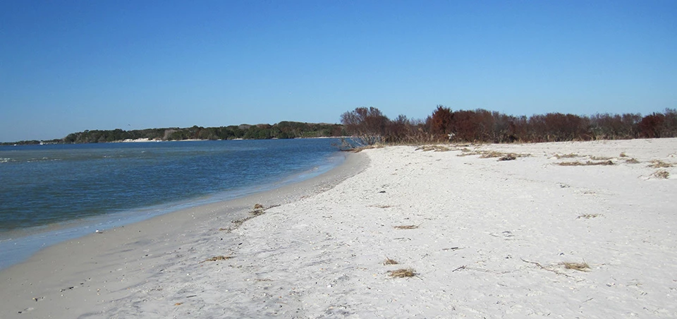 The coastline at Fort Matanzas National Monument.