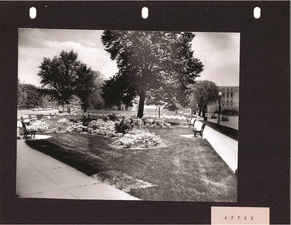 A sidewalk forms a "V" around a patch of grass with benches, leafless trees, and trash cans, labeled "Before."