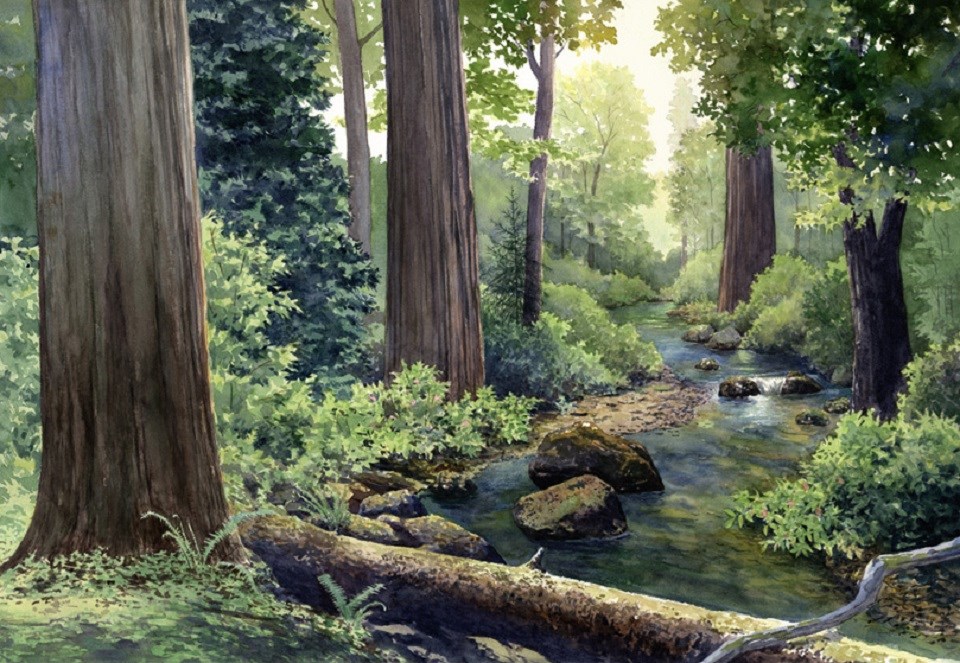 Artistic rendering of a redwoods forest