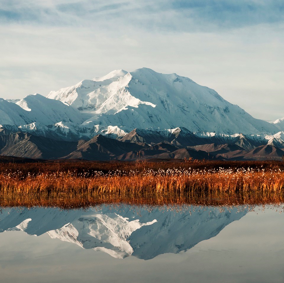 Aerial view of Denali National Park & Preserve