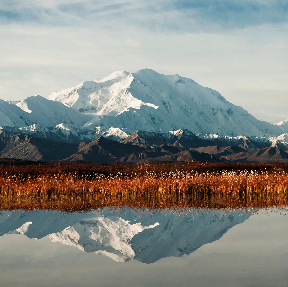 Aerial view of Denali National Park & Preserve