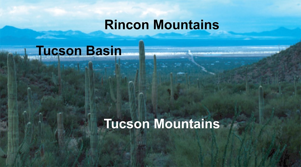 view of desert basin with cactus in foreground
