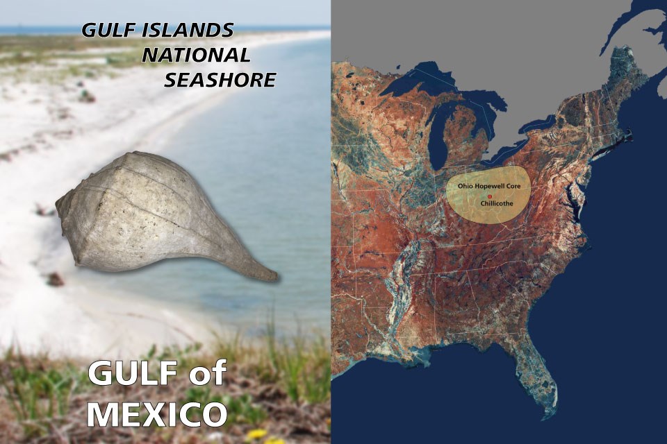 Left side reveals a large whelk shell over top of an image of a beach, right photo shows eastern half of United States image from space