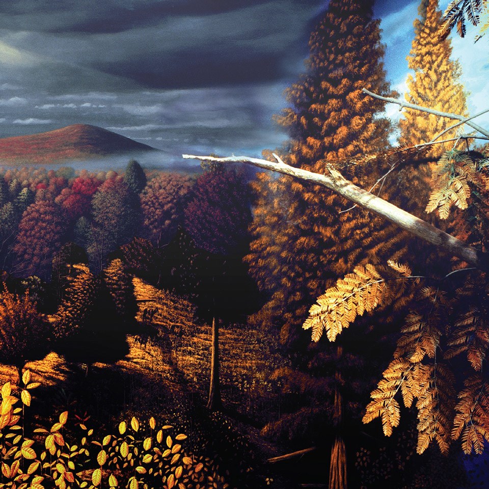 illustration of john day fossil bed as a lush forest