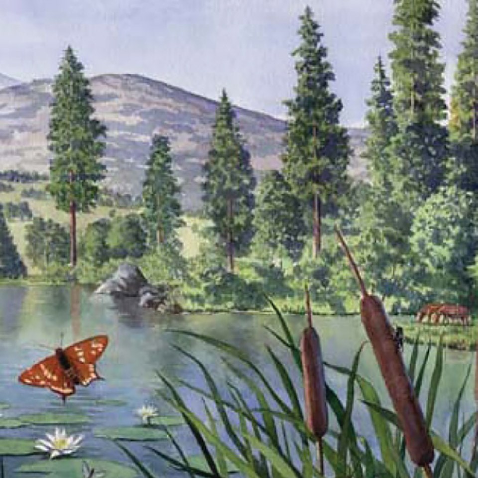 illustration of many trees and hill in the distance