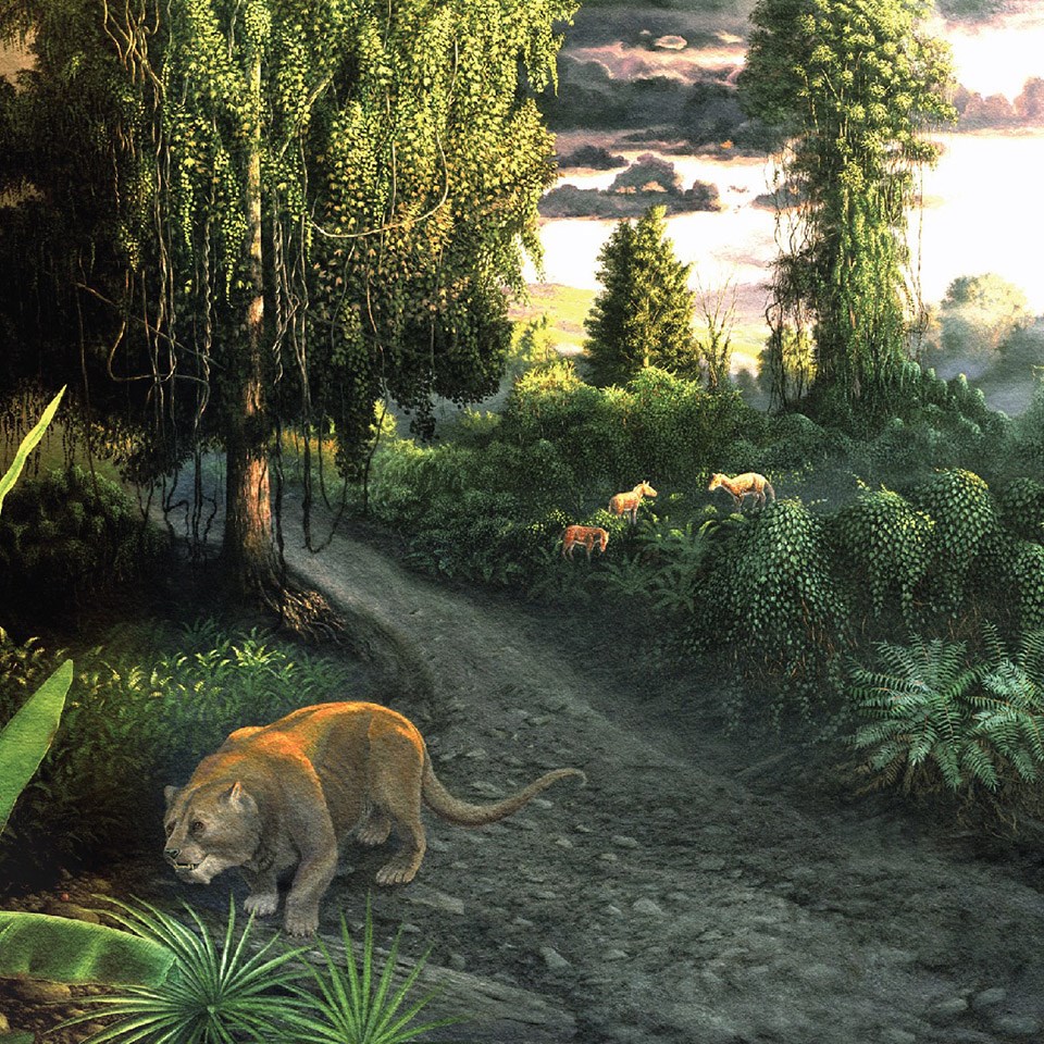 illustration of john day fossil bed as a lush forest and wild cat