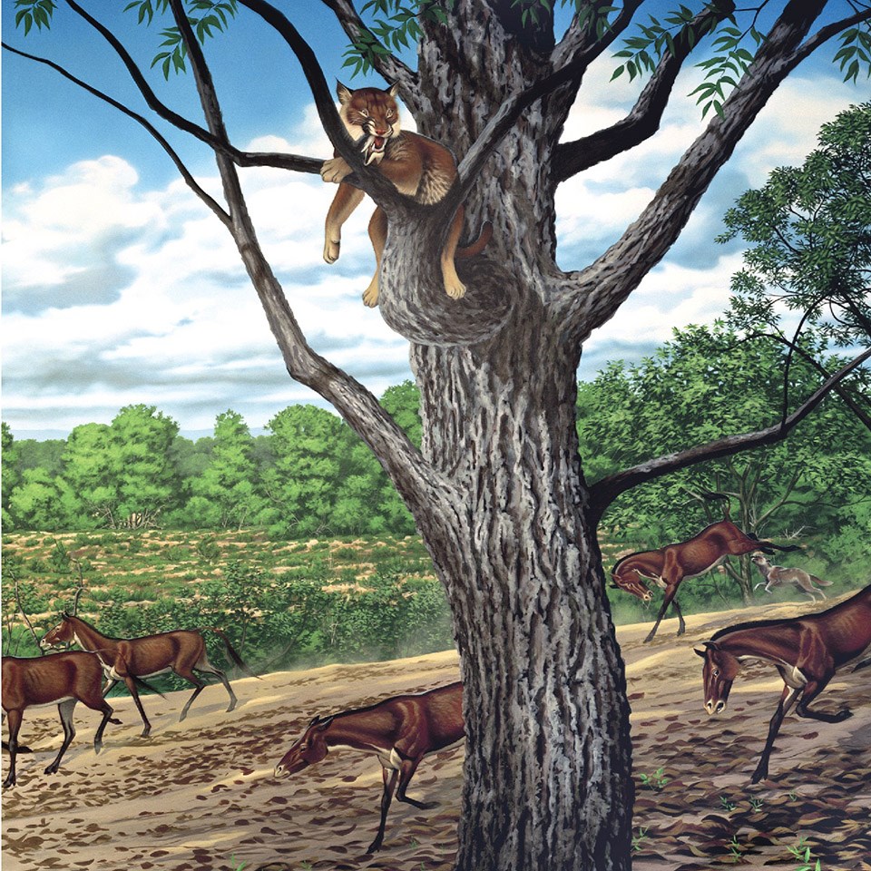 illustration of john day fossil bed as a lush forest with wild animals
