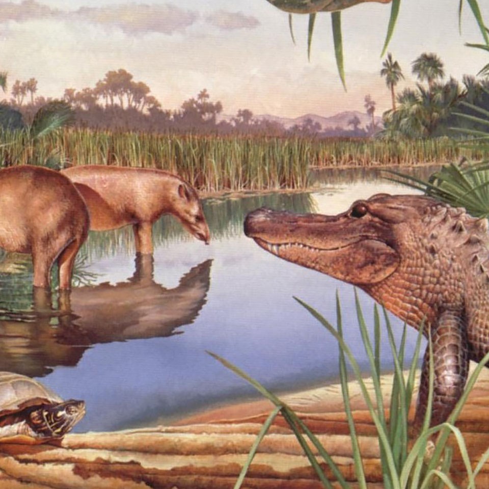 an illustration of prehistoric mammals and reptiles near water
