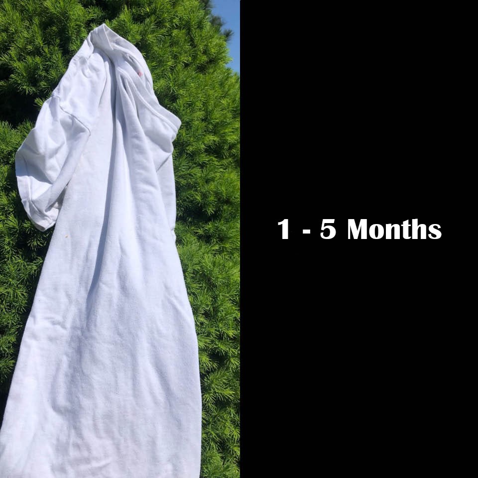 White t-shirt hanging on a tree, 1-5 months