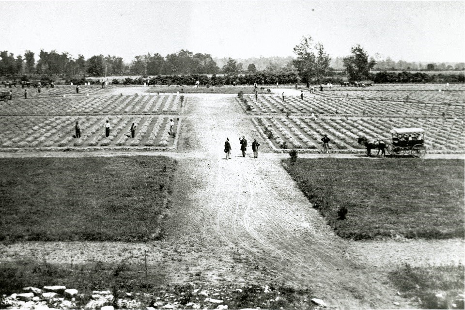 Left: Question: Which soldiers were responsible for reburying Union soldiers at Stones River National Cemetery? How many Union Soldiers are buried here? Right: Answer: The 111th United States Colored Infantry reburied most of the 6100 Union soldiers.