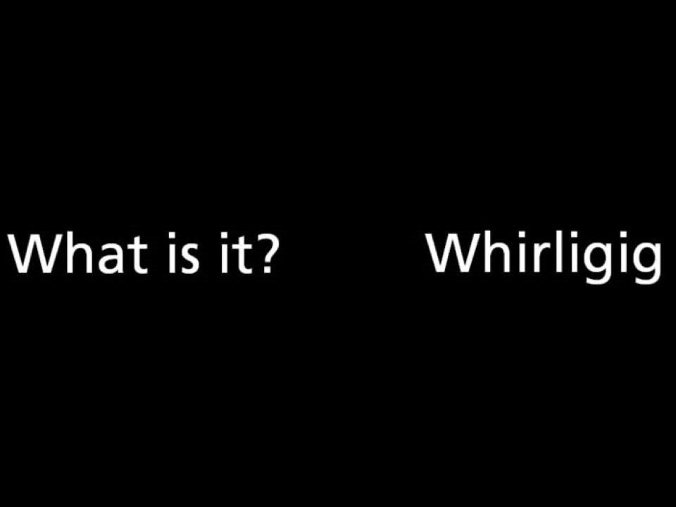 What is it? Whirligig