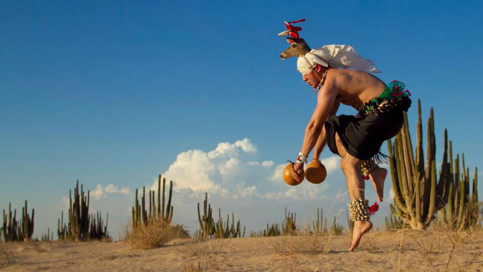 Native Peoples Of The Sonoran Desert The Yoeme U S National Park Service