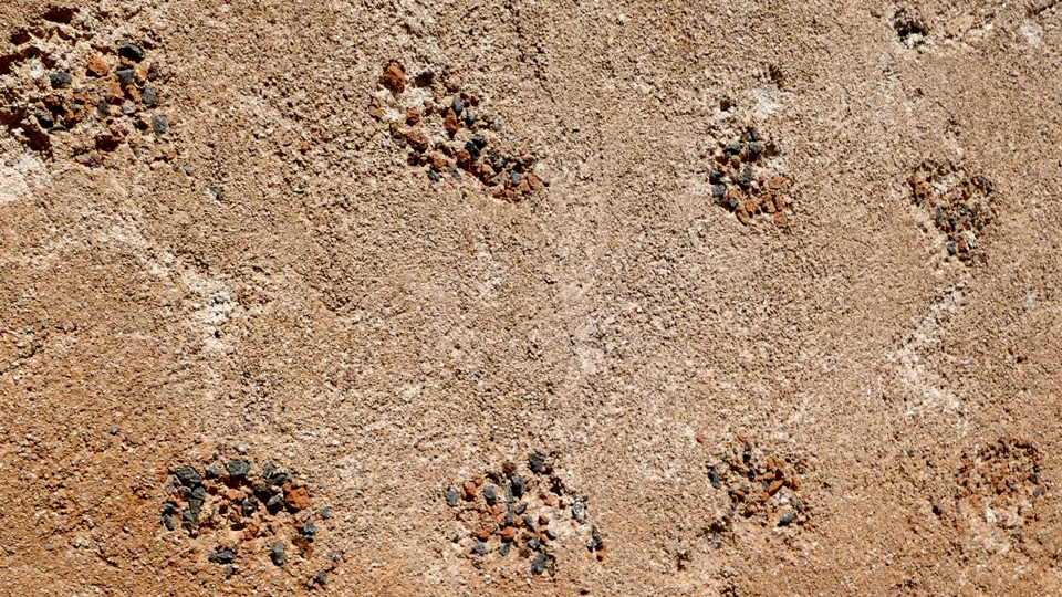 closeup of black and red pebbles in lime plaster wall