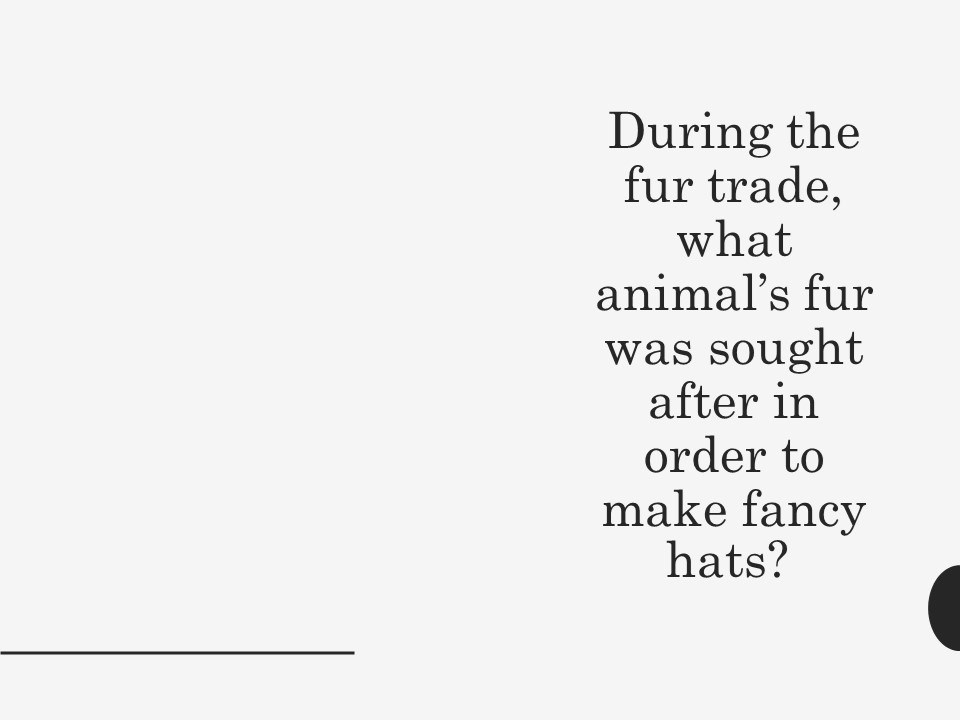 A felt top hat.