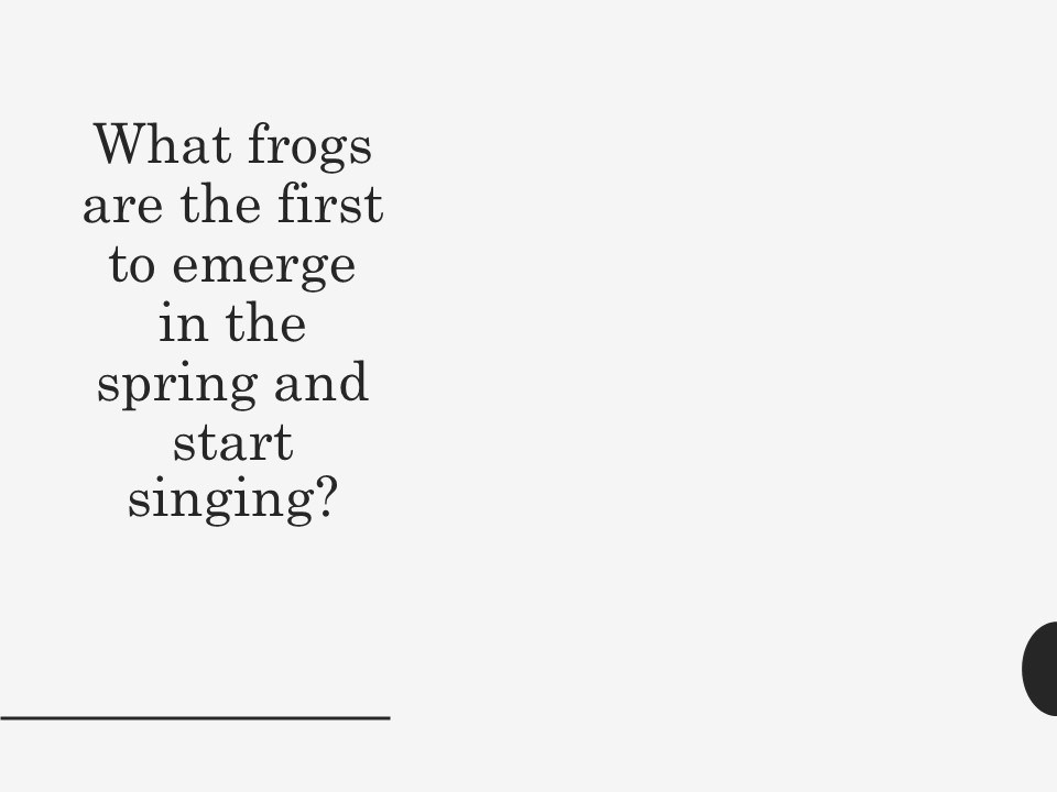 text reads What frogs are the first to emerge in the spring and start singing?