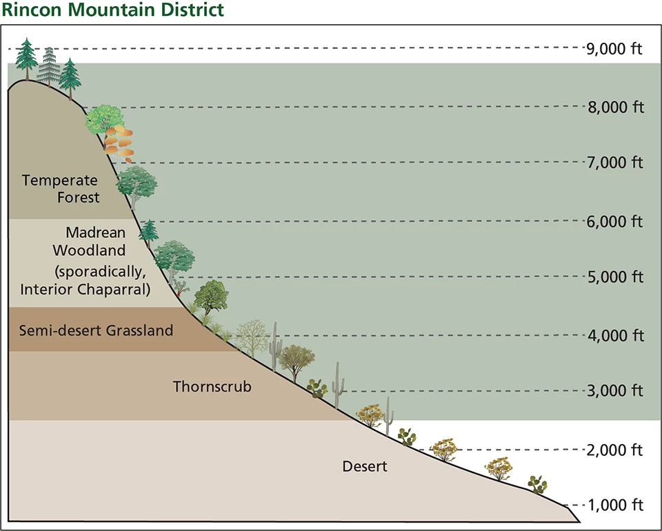 Green field showing elevation gradient of ~2,500-9,000 feet