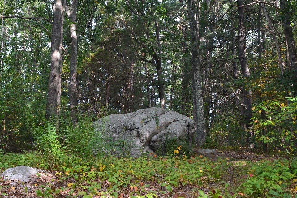 The Minute Man boulder stands in a clearing of grass, surrounded by young trees.