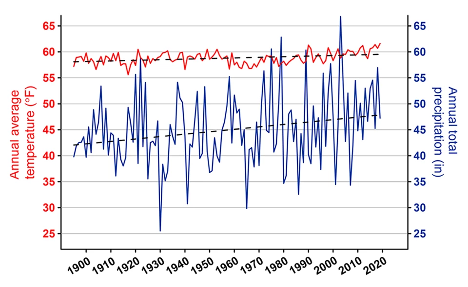 James City County temperature and precipitation line graph 2019