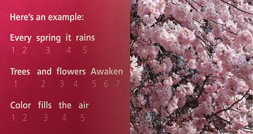 cherry blossom poem