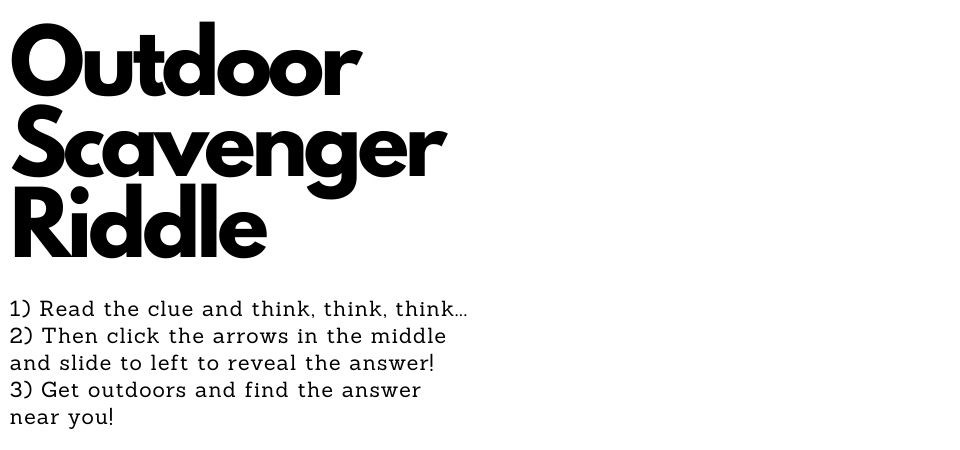 Virtual Junior Ranger Summer Camp: Day 1—Kick Start to Summer (U.S ...