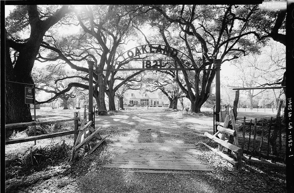 Sun filters through thick, curving branches of the mature oak trees that line each side of an entrance drive. A sign over the gate says "Oakland 1821"