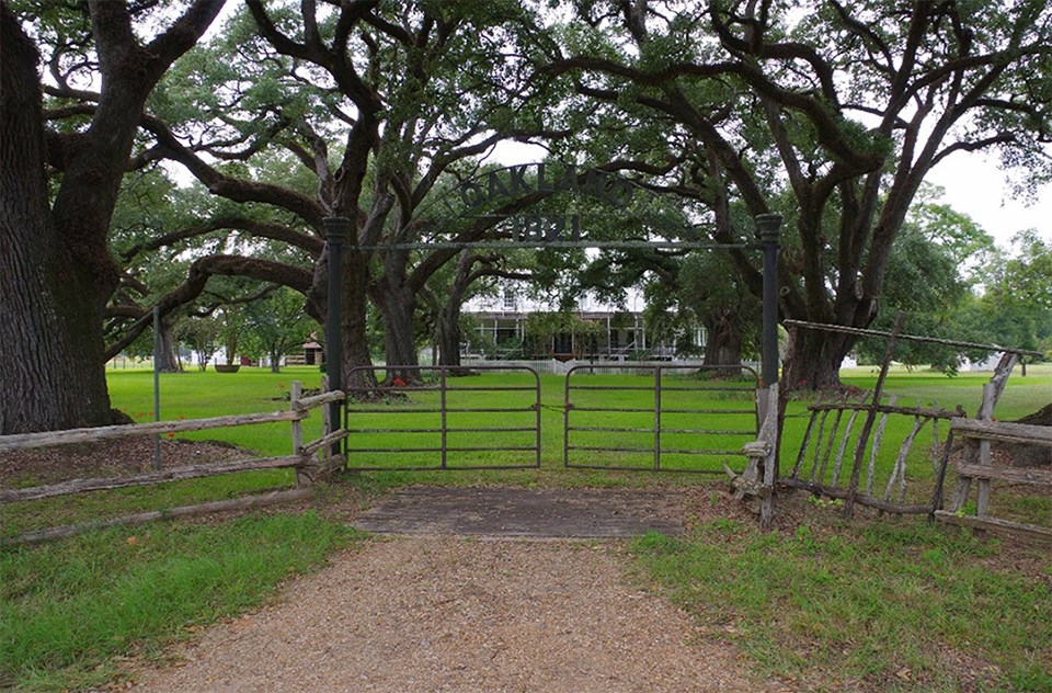 Sun filters through thick, curving branches of the mature oak trees that line each side of an entrance drive. A sign over the gate says "Oakland 1821"