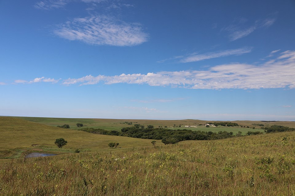 Cod Prairie Vegetation Community Monitoring (U.S. National Park Service)