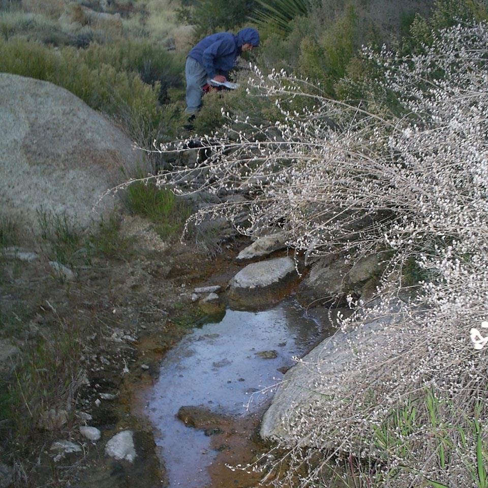 Image of spring with surface water present.