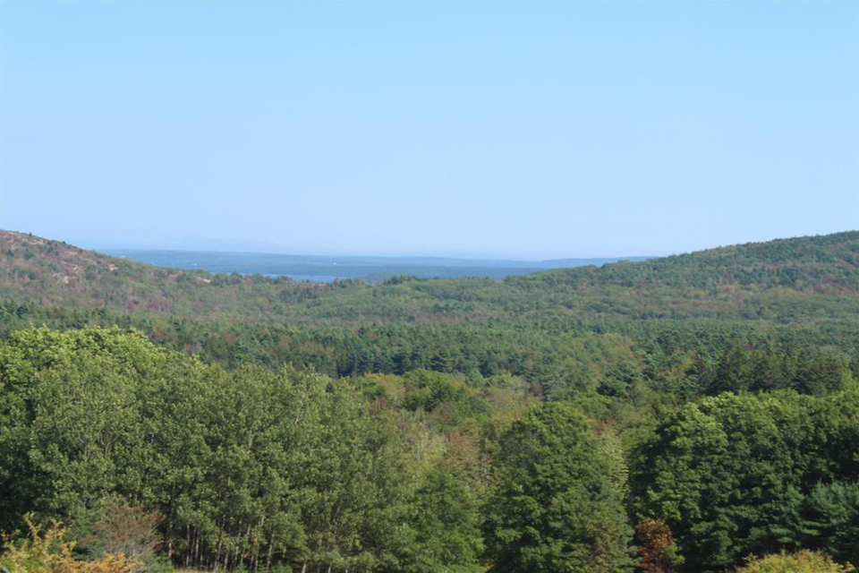 Clear day in Acadia National Park