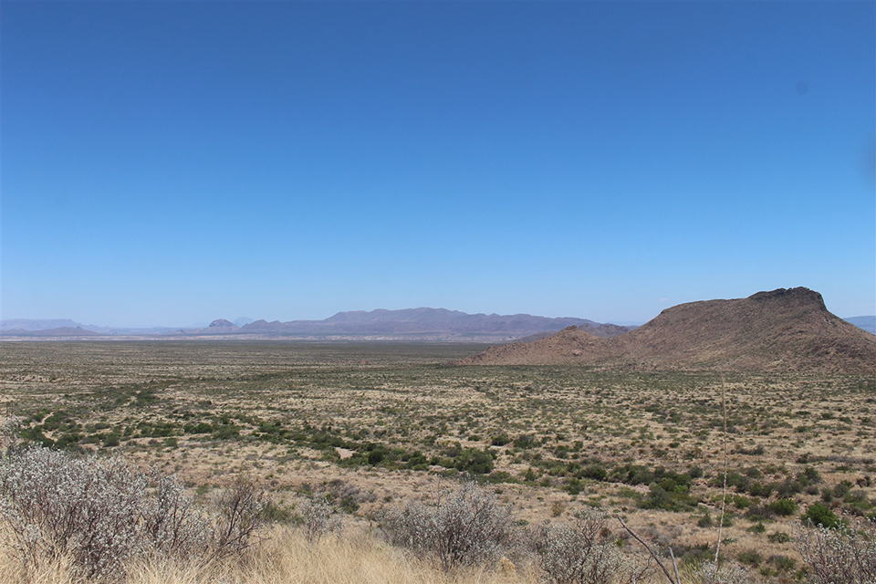 Clear day in Big Bend National Park