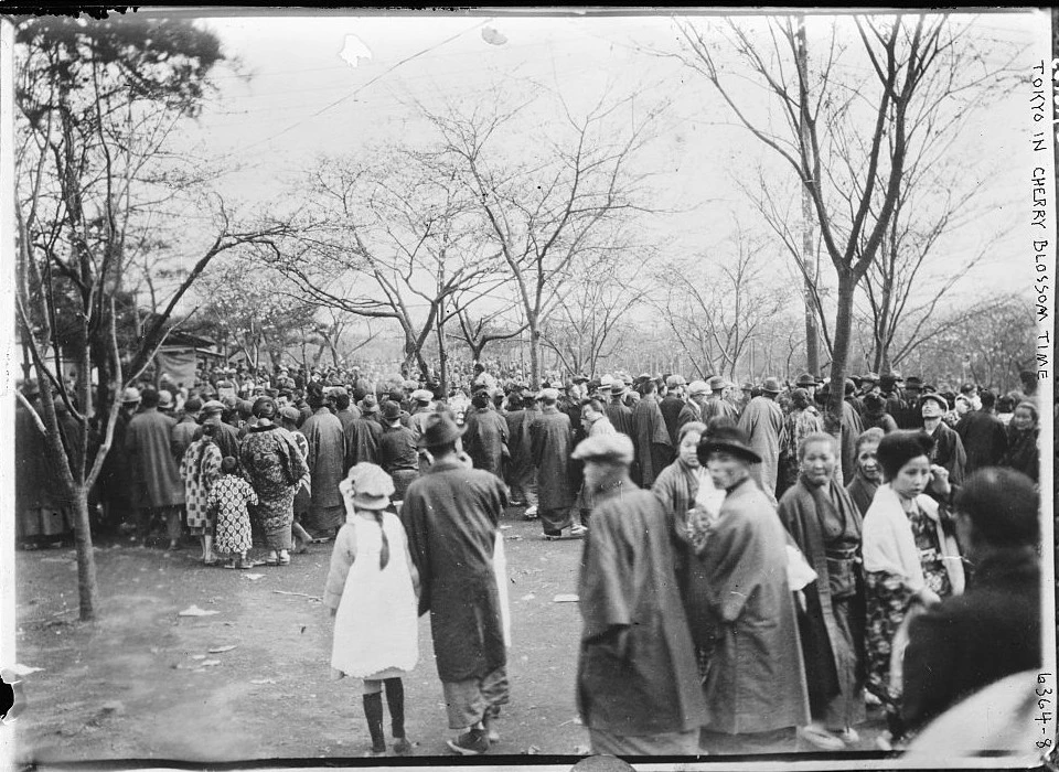 Black and white photo of people gathered to enjoy the cherry blossoms in Japan in 1910