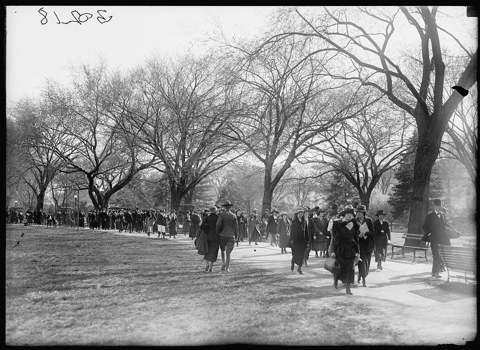 Black and white photo of people gathered to enjoy the cherry blossoms in Japan in 1910